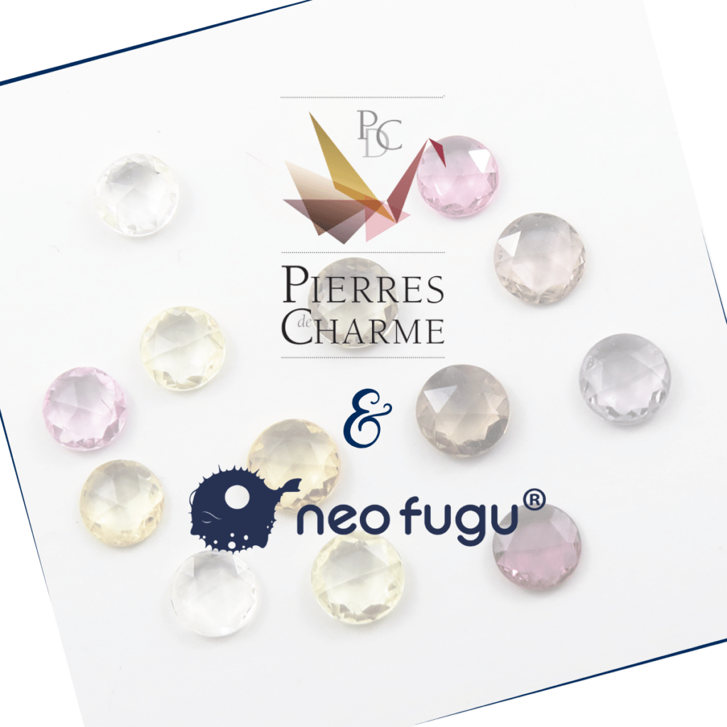 Pierres de Charme & NEO-FUGU®