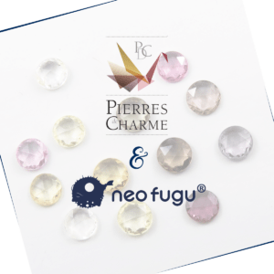 Pierres de Charme & NEO-FUGU®